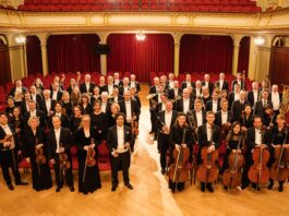 Das Philharmonische Orchester Altenburg-Gera spielt das Konzert zum Jahresausklang. Foto: Ronny Ristock