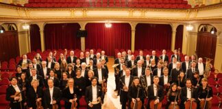 Das Philharmonische Orchester Altenburg-Gera spielt das Konzert zum Jahresausklang. Foto: Ronny Ristock