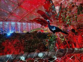 Ein schillernder Start ins neue Jahr: Aktuell lockt im Leipziger Zoo das "Magische Tropenleuchten". Foto: Zoo Leipzig