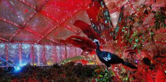 Ein schillernder Start ins neue Jahr: Aktuell lockt im Leipziger Zoo das "Magische Tropenleuchten". Foto: Zoo Leipzig