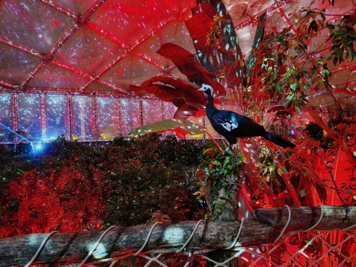 71_Das_Magische_Tropenleuchten_beginnt_am_11._Januar____Zoo_Leipzig_ Ein schillernder Start ins neue Jahr: Aktuell lockt im Leipziger Zoo das