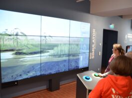 Die neue Vulkan-Ausstellung in R&ouml;cknitz ist jetzt auch sonntags ge&ouml;ffnet. Foto: Geoportal R&ouml;cknitz