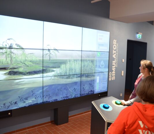 Die neue Vulkan-Ausstellung in R&ouml;cknitz ist jetzt auch sonntags ge&ouml;ffnet. Foto: Geoportal R&ouml;cknitz
