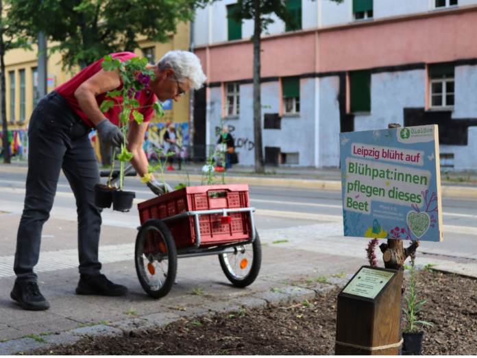 Leipzig_bl__ht_auf______kol__we_e._V_ Auch 2024 soll das Motto wieder lauten: Leipzig blüht auf! Foto: Ökolöwe Leipz
