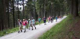 Wer geführte Wandertouren durch Nordsachsen machen will, findet in der Region viele Gleichgesinnte. Foto: privat