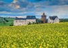 Auch entlang der Burg Mildenstein in Leisnig führt eine Wanderroute. Foto: Wolfgang Sens