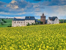 Auch entlang der Burg Mildenstein in Leisnig f&uuml;hrt eine Wanderroute. Foto: Wolfgang Sens