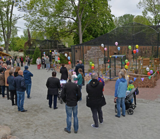Zahlreiche G&auml;ste feiern die Er&ouml;ffnung der Voliere am 15. Mai 2019. Foto: Christian Maurer