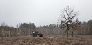 Die Anstrengungen zielen unter anderem darauf, die für die Heide charakteristischen Offenlandflächen als Lebensraum gefährdeter Pflanzen- und Tierarten zu erhalten. Foto: LPV NWS