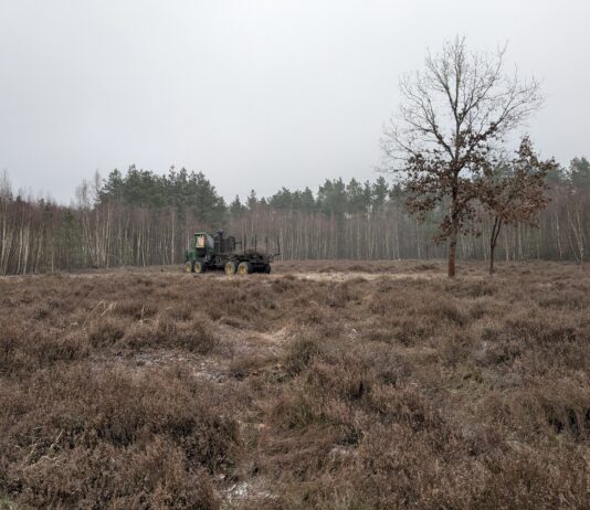 Die Anstrengungen zielen unter anderem darauf, die f&uuml;r die Heide charakteristischen Offenlandfl&auml;chen als Lebensraum gef&auml;hrdeter Pflanzen- und Tierarten zu erhalten. Foto: LPV NWS