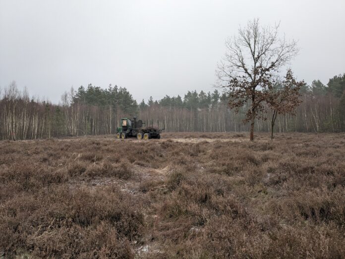 PXL_20250213_092501031 Die Anstrengungen zielen unter anderem darauf, die für die Heide charakteristischen Offenlandflächen als Lebensraum gefährdeter Pflanzen- und Tierarten zu erhalten. Foto: LPV NWS
