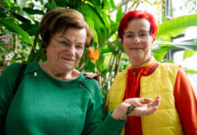Der Botanische Garten bietet viele Veranstaltungen. Das nächste Highlight: die Schmetterlinge. Foto: Christian Modla