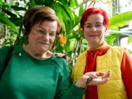Der Botanische Garten bietet viele Veranstaltungen. Das n&auml;chste Highlight: die Schmetterlinge. Foto: Christian Modla