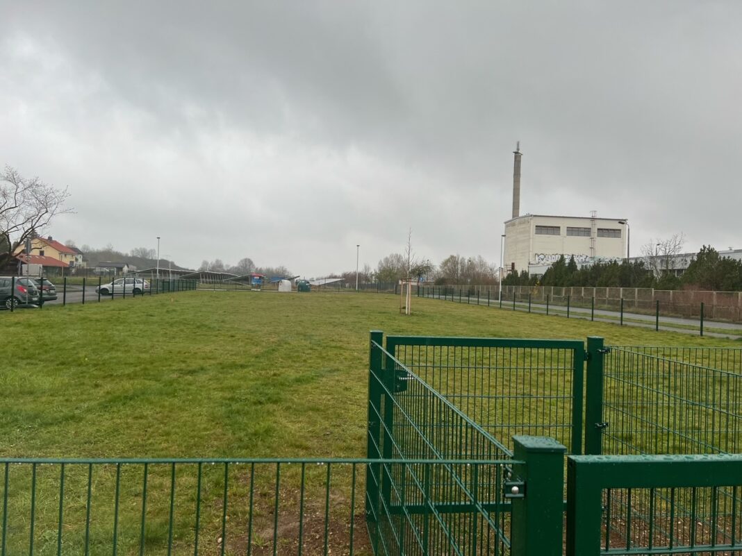 Blick auf die Hundewiese