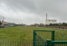 Blick auf die Hundewiese