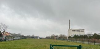 Blick auf die Hundewiese