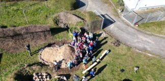 Den Grundschülern wurde erklärt, was ein Sandarium ist. Foto: Daniel Große/Rösl