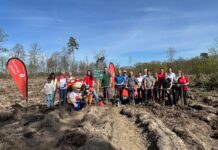 3000 neue Bäume für Delitzsch: Sparkassen-Kunden haben im Stadtforst junge Roteichen gepflanzt. Foto: Sparkasse Leipzig
