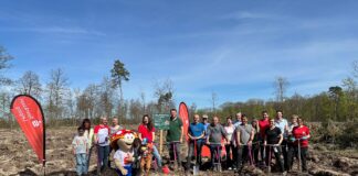 3000 neue Bäume für Delitzsch: Sparkassen-Kunden haben im Stadtforst junge Roteichen gepflanzt. Foto: Sparkasse Leipzig