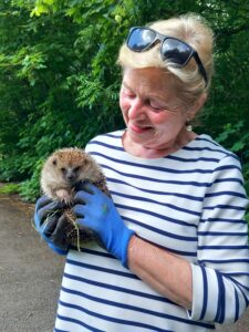 DieLeipzigerin Christine Arendt pflegt verletzte und unterernährte Tiere im eigenen Garten. Und entlässt sie dann wie hier im Frühjahr wieder in die Freiheit. Foto: privat