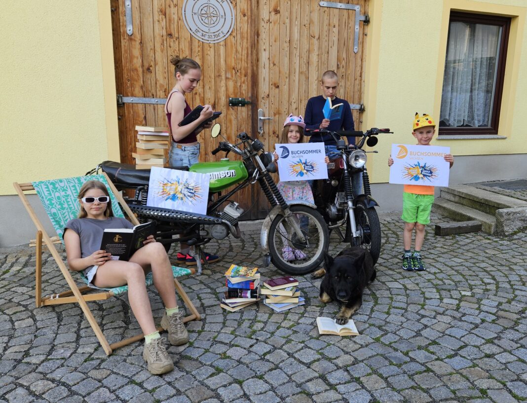 Jede Menge Lesestoff gibt es beim Buchsommer Kitzscher. Foto: privat