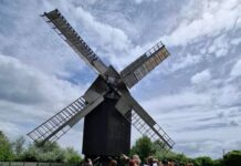 Ein erlebnisreicher Projekttag führte die Viertklässler der Delitzscher Pestalozzischule zur historischen Bockwindmühle in Hohenroda. Foto: privat