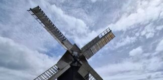 Ein erlebnisreicher Projekttag führte die Viertklässler der Delitzscher Pestalozzischule zur historischen Bockwindmühle in Hohenroda. Foto: privat