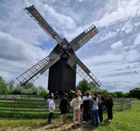 M__hlenfoto Ein erlebnisreicher Projekttag führte die Viertklässler der Delitzscher Pestalozzischule zur historischen Bockwindmühle in Hohenroda. Foto: privat