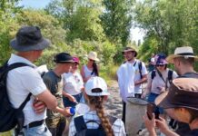Tag der Artenvielfalt: Experte Andreas Raffelt (2.v.l.) im Gespräch mit Laienforschern. An der Citizen-Science-Veranstaltung im Naturschutzgebiet Werbeliner See nahmen im Jahr 2025 20 Interessenten teil. Diese wurden von vier Experten angeleitet und lernten dabei viel Wissenswertes über die Lebensweisen der verschiedenen Arten und die Notwendigkeit ihres besonderen Schutzes. Foto: LRA/Jäger