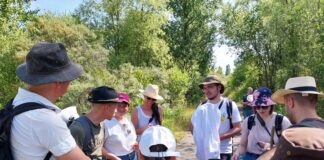 Tag der Artenvielfalt: Experte Andreas Raffelt (2.v.l.) im Gespräch mit Laienforschern. An der Citizen-Science-Veranstaltung im Naturschutzgebiet Werbeliner See nahmen im Jahr 2025 20 Interessenten teil. Diese wurden von vier Experten angeleitet und lernten dabei viel Wissenswertes über die Lebensweisen der verschiedenen Arten und die Notwendigkeit ihres besonderen Schutzes. Foto: LRA/Jäger