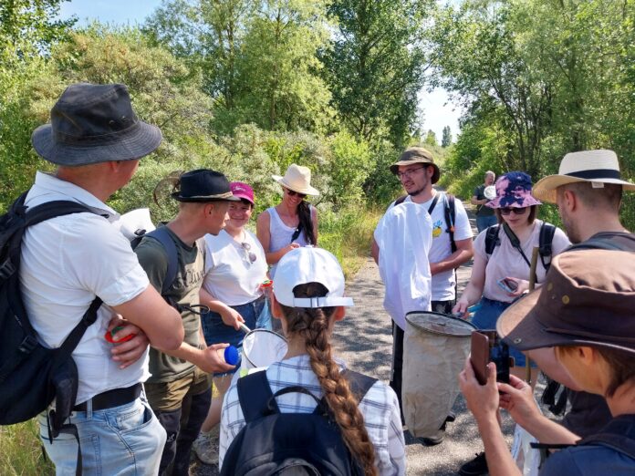 124_2025_-_Neue_Arten_NSG_Werbeliner_See_01 Tag der Artenvielfalt: Experte Andreas Raffelt (2.v.l.) im Gespräch mit Laienforschern. An der Citizen-Science-Veranstaltung im Naturschutzgebiet Werbeliner See nahmen im Jahr 2025 20 Interessenten teil. Diese wurden von vier Experten angeleitet und lernten dabei viel Wissenswertes über die Lebensweisen der verschiedenen Arten und die Notwendigkeit ihres besonderen Schutzes. Foto: LRA/Jäger
