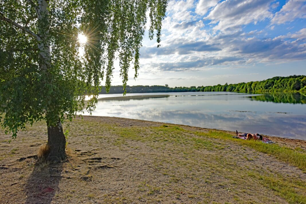 Auch im Albrechtshainer See kann bedekenlos gebadet werden. Foto: Thomas Kube