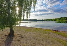 Auch im Albrechtshainer See kann bedekenlos gebadet werden. Foto: Thomas Kube