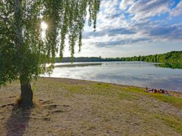 Auch im Albrechtshainer See kann bedekenlos gebadet werden. Foto: Thomas Kube