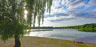 Auch im Albrechtshainer See kann bedekenlos gebadet werden. Foto: Thomas Kube