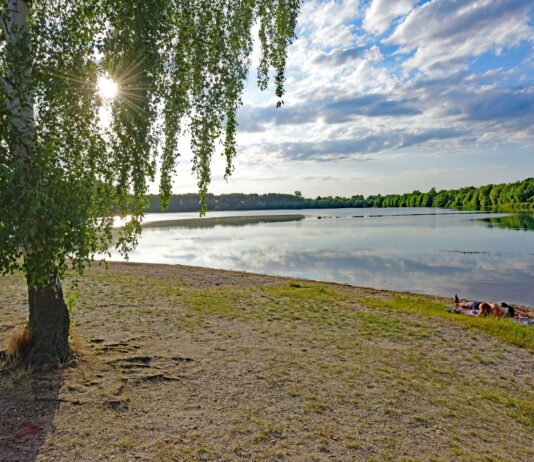 Auch im Albrechtshainer See kann bedekenlos gebadet werden. Foto: Thomas Kube