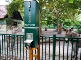 Der Lehr- und Erlebnispfad im Inselzoo wurde erweitert. Zudem gibt es einen neuen Futterautomaten. Foto: Franziska Ebert