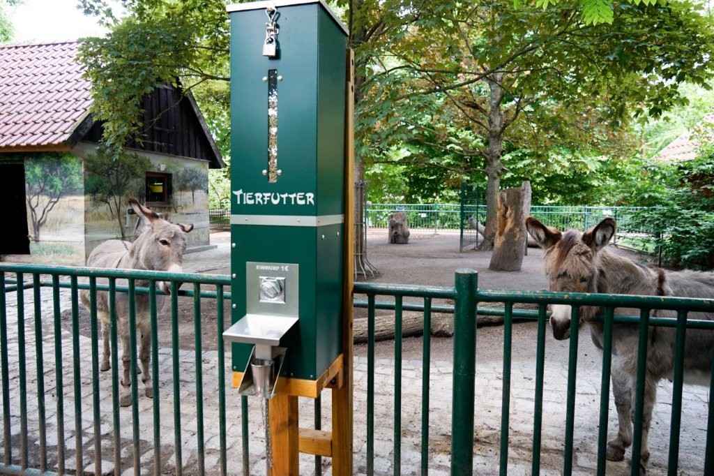 _DSC4044 Der Lehr- und Erlebnispfad im Inselzoo wurde erweitert. Zudem gibt es einen neuen Futterautomaten. Foto: Franziska Ebert