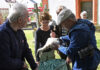 Storchen-Regionalbetreuer Uwe Seidel bei der öffentlichen Beringung der drei Storchenkinder im Garten der Otterwischer Kirche. Foto: Thomas Kube