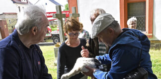 Storchen-Regionalbetreuer Uwe Seidel bei der öffentlichen Beringung der drei Storchenkinder im Garten der Otterwischer Kirche. Foto: Thomas Kube