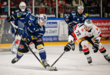 Immer ein Highlight in den 15 Jahren IceFighters-Historie waren die Derbies gegen die Saale Bulls: Hier sind der Leipziger Jan-Luca Schu- macher und der Hallenser Sergej Stas im Dezember 2024 im Duell. Foto: Christian Modla