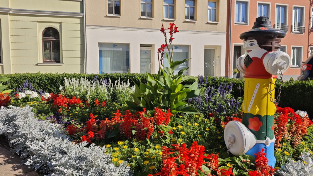 Mit verschiedenen Bepflanzungen soll der grüne Charakter Schmöllns erhalten bleiben. Foto: PM