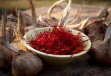 Das "Rote Gold" entfaltet im bevorstehenden Herbst auch im Altenburger Land seine volle Pracht. Foto: Carsten Schenker