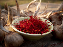 Das "Rote Gold" entfaltet im bevorstehenden Herbst auch im Altenburger Land seine volle Pracht. Foto: Carsten Schenker
