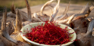 Das "Rote Gold" entfaltet im bevorstehenden Herbst auch im Altenburger Land seine volle Pracht. Foto: Carsten Schenker