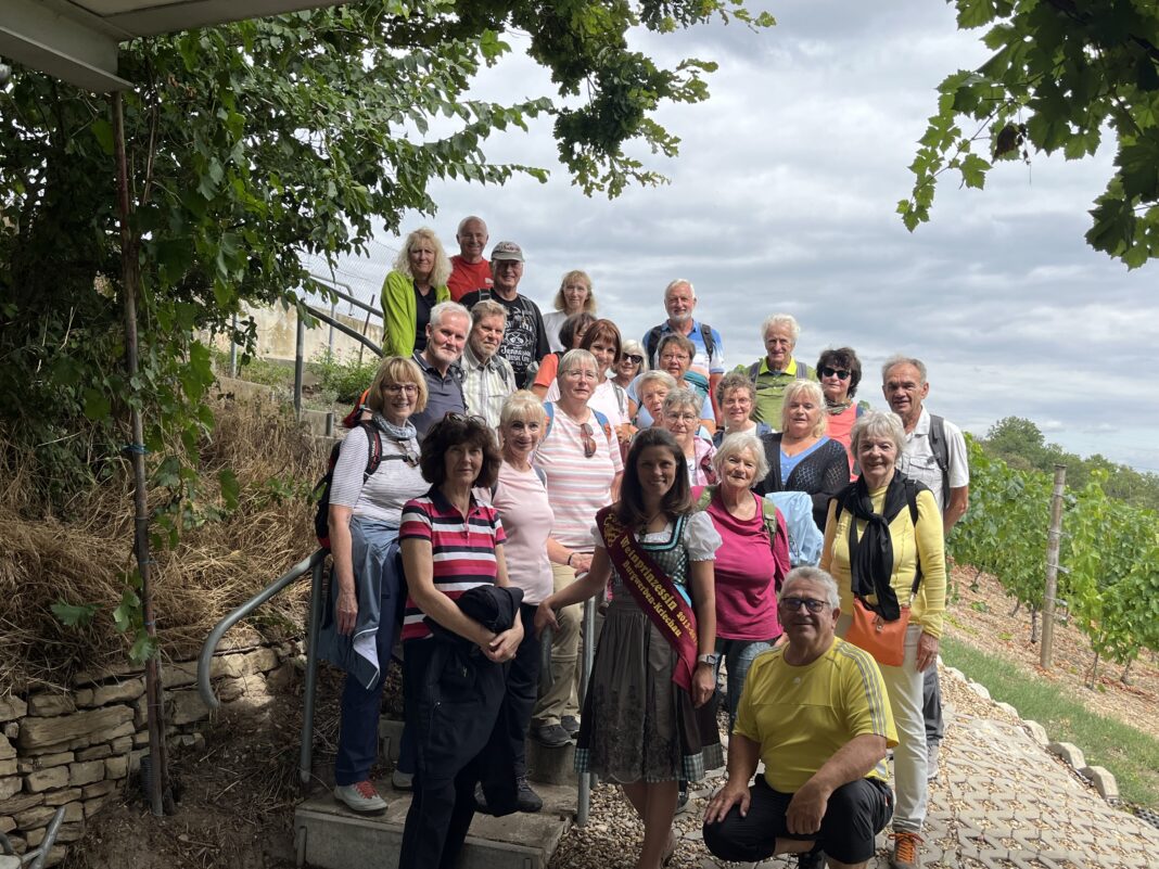 01.08_.2025_Genusswanderung_an_der_Saale_Bad_D__rrenberg-_Wei__enfels_Burgwerbener_Herzogsberg_ Die Abteilung Wandern beim ESV Delitzsch hat zum Beispiel eine Genusswan- derung an der Saale von Bad Dürrenberg nach Weißenfels unter- nommen. Foto: privat