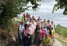 Die Abteilung Wandern beim ESV Delitzsch hat zum Beispiel eine Genusswan- derung an der Saale von Bad Dürrenberg nach Weißenfels unter- nommen. Foto: privat