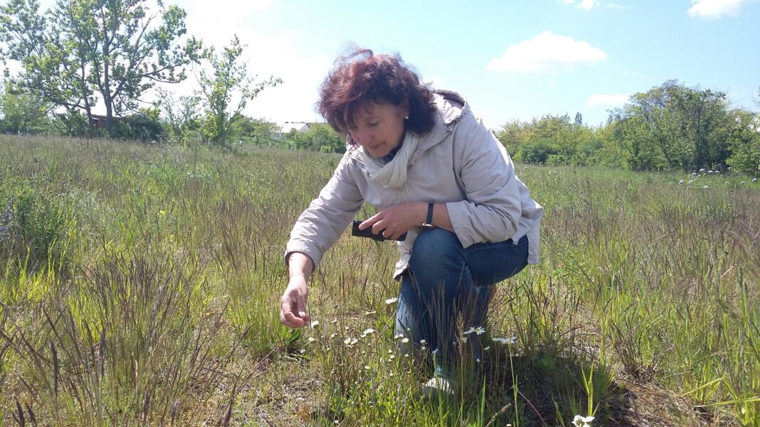 Veronika Leißner kennt sich mit der heimischen Fauna und Flora bestens aus. Foto: Heike Liesaus