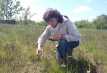 Veronika Leißner kennt sich mit der heimischen Fauna und Flora bestens aus. Foto: Heike Liesaus