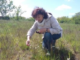 Veronika Lei&szlig;ner kennt sich mit der heimischen Fauna und Flora bestens aus. Foto: Heike Liesaus